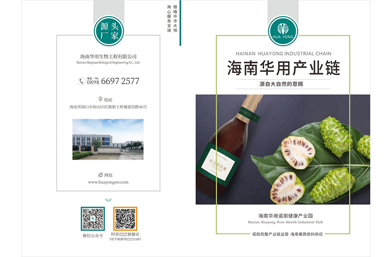 海南華用諾麗健康產業園 宣傳冊